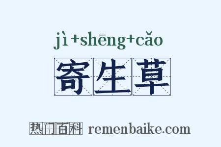 寄生草是什么意思的图片
